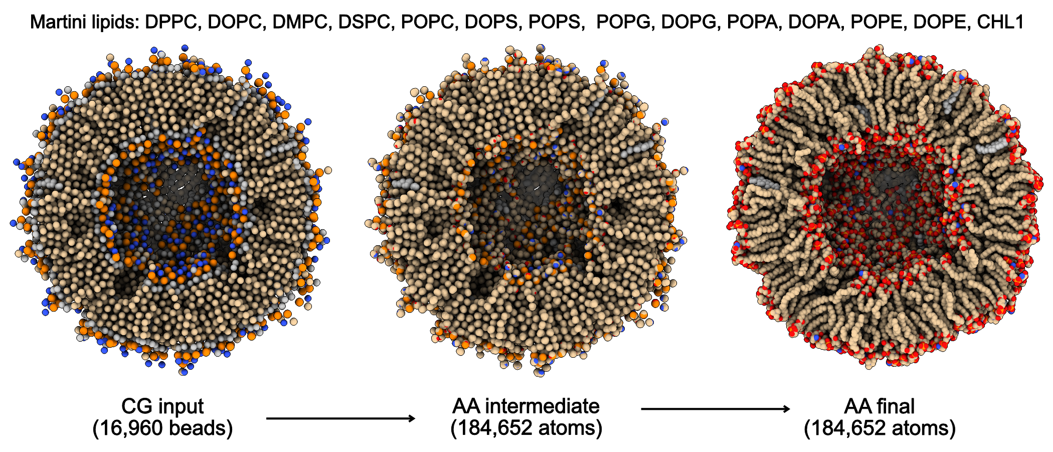 _images/bilayer.png